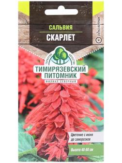 Семена цветов Сальвия 