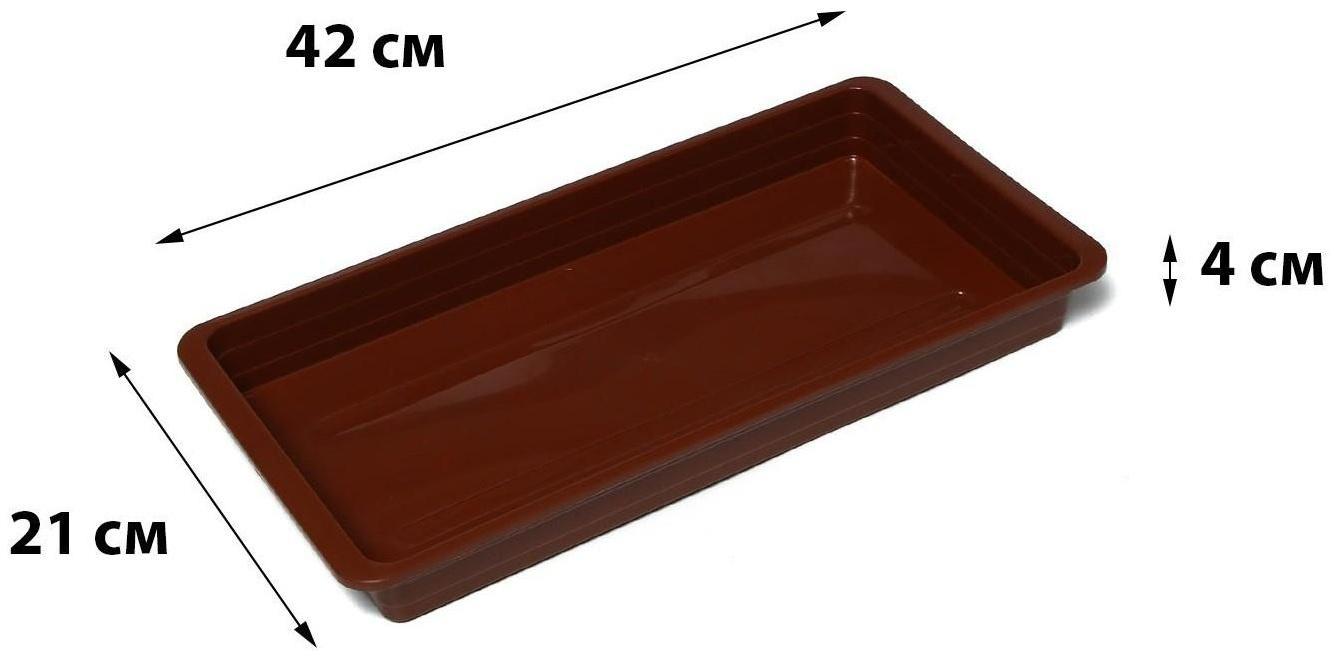 Поддон для рассады, 42 × 21 × 4 см, цвет МИКС