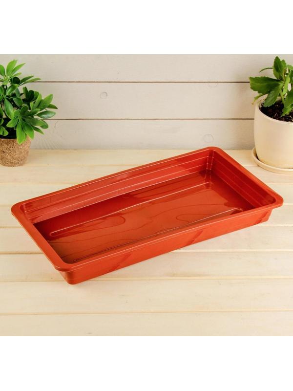 Поддон для рассады, 42 × 21 × 4 см, цвет МИКС