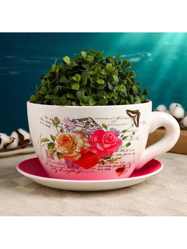 Горшок в форме чашки 