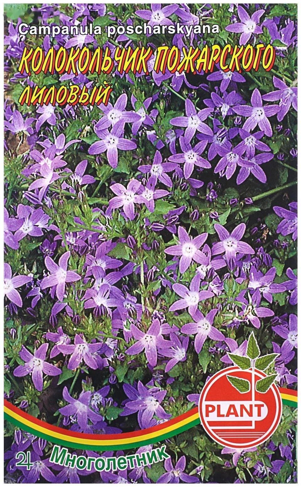 Семена цветов Колокольчик 