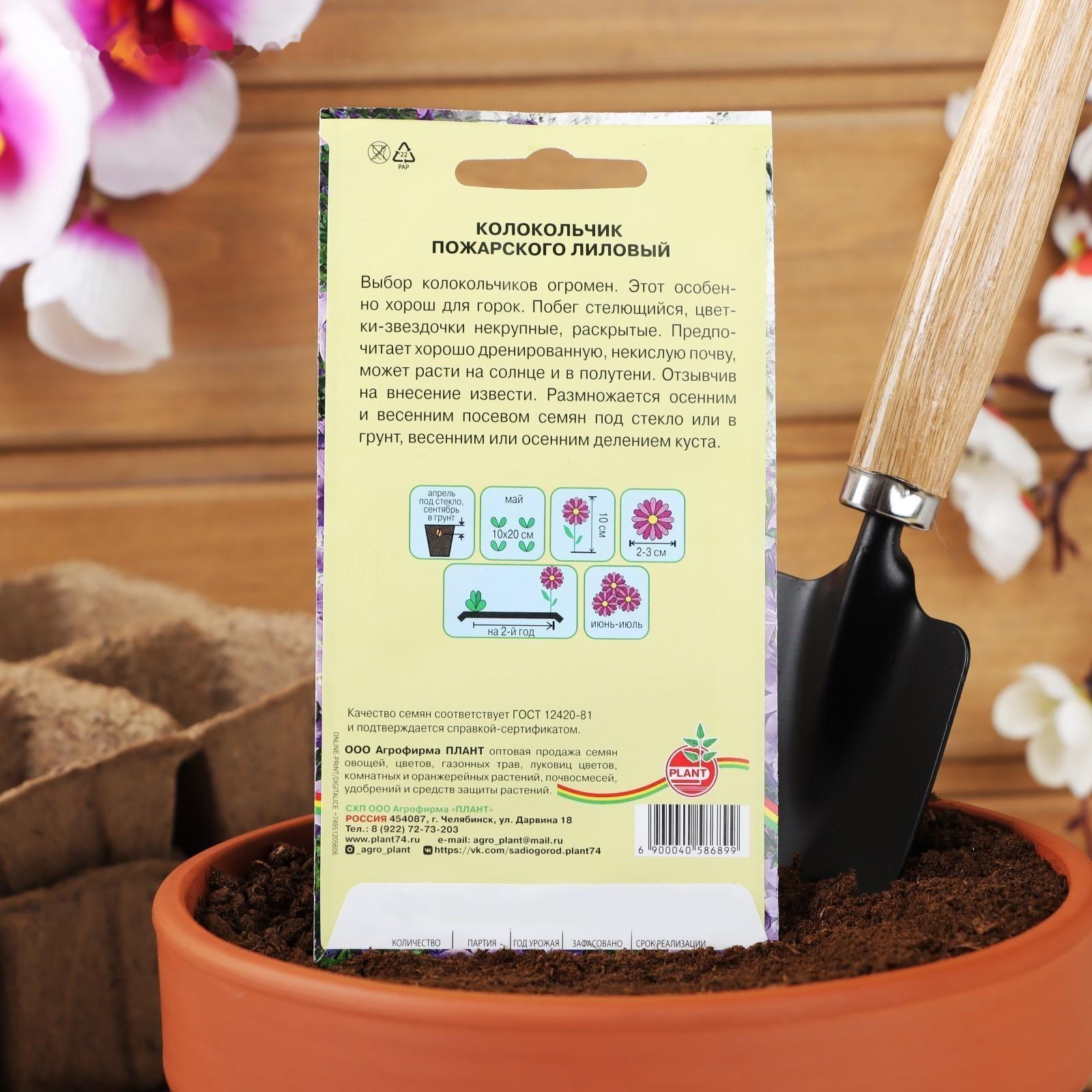 Семена цветов Колокольчик 