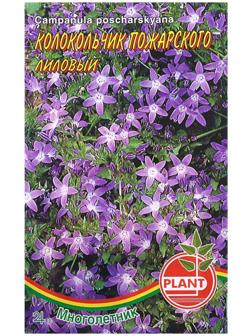 Семена цветов Колокольчик 