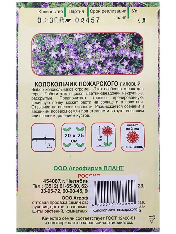 Семена цветов Колокольчик 