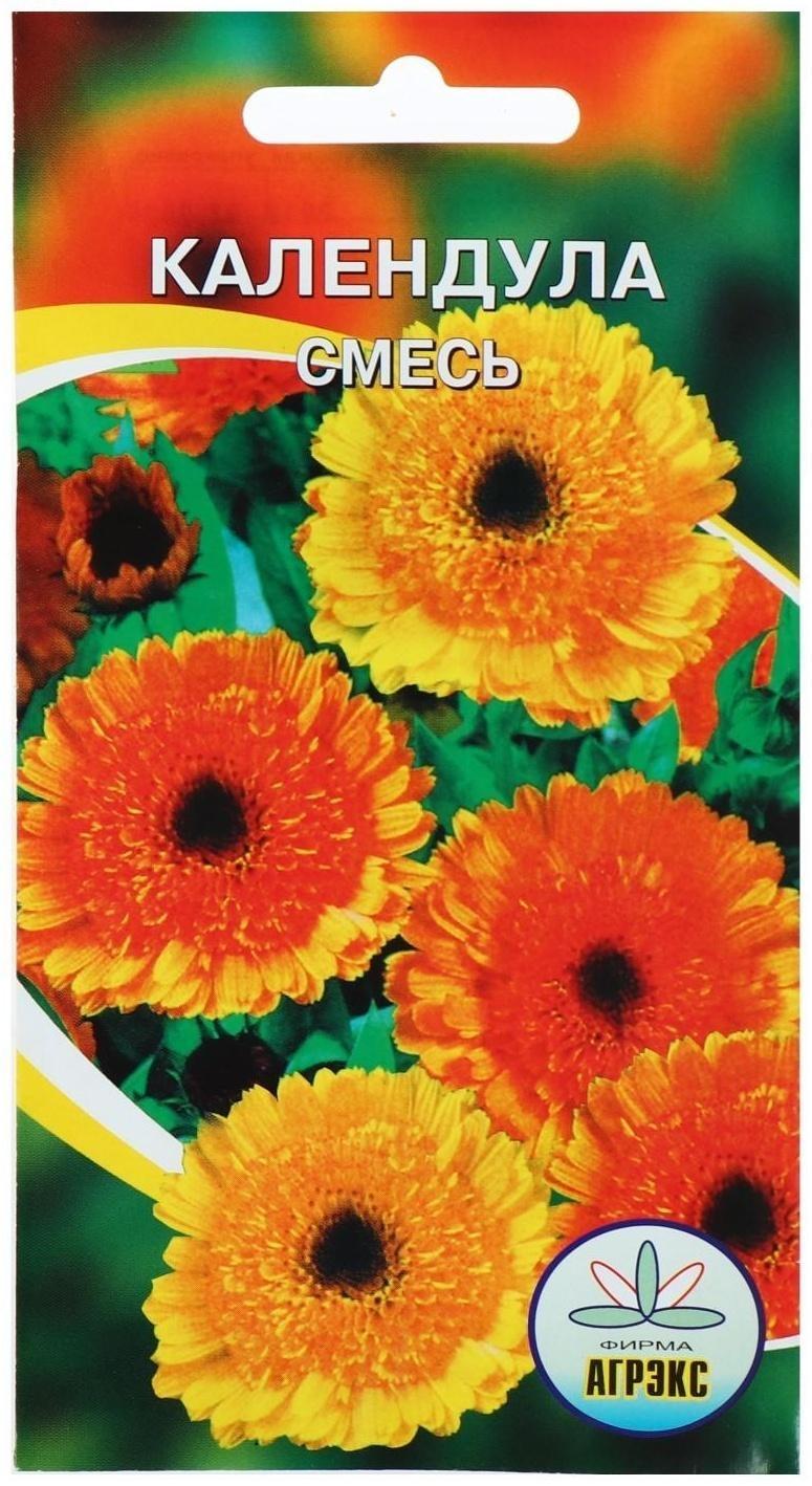 Семена цветов Календула смесь окрасок, О, 0,2 г