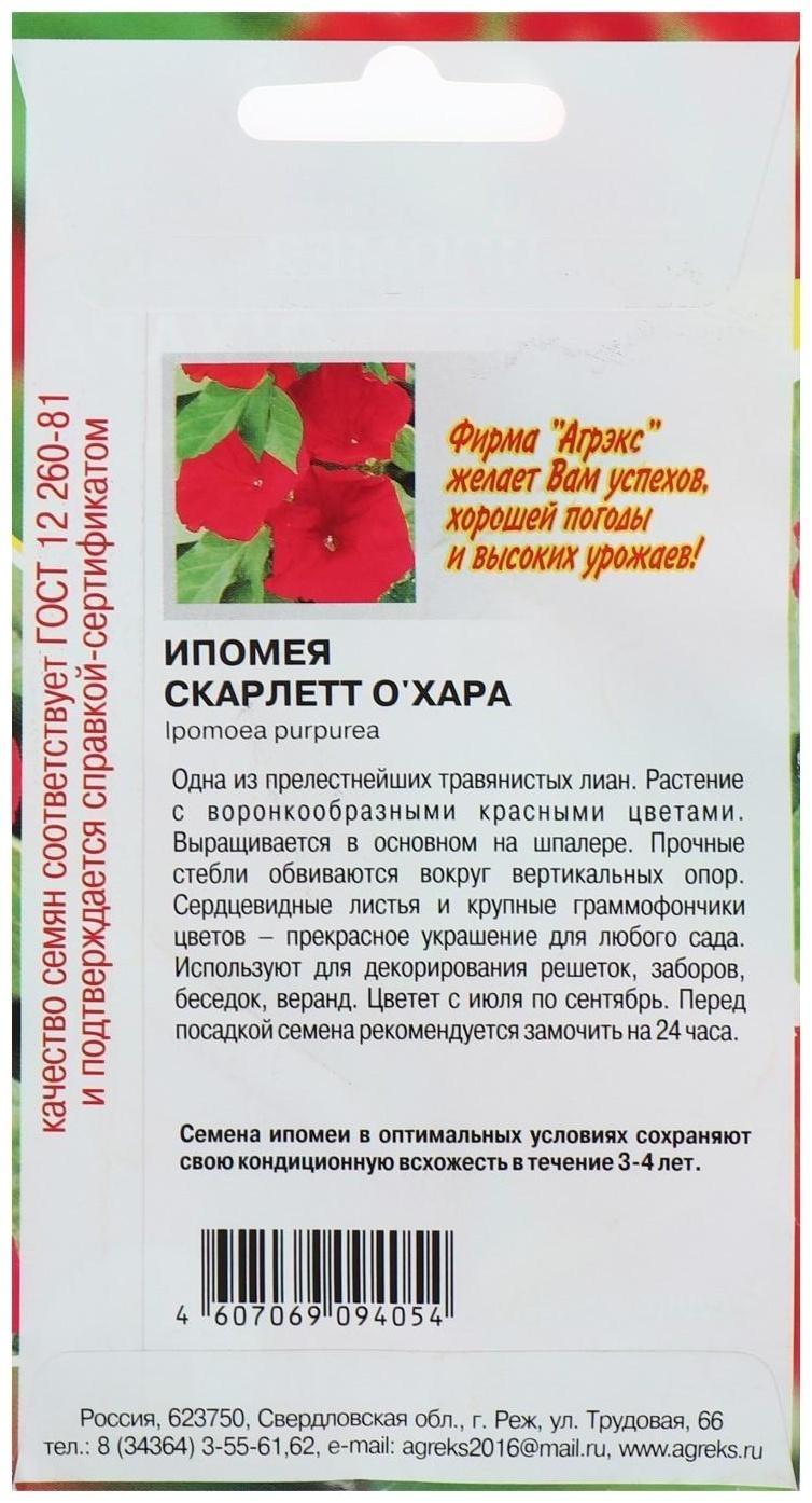 Семена цветов Ипомея 