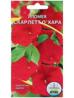 Семена цветов Ипомея 