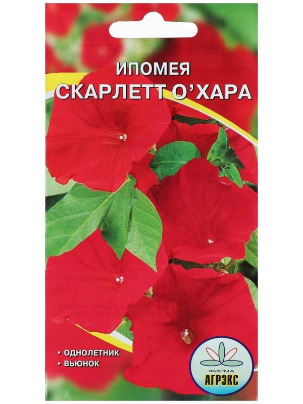 Семена цветов Ипомея 