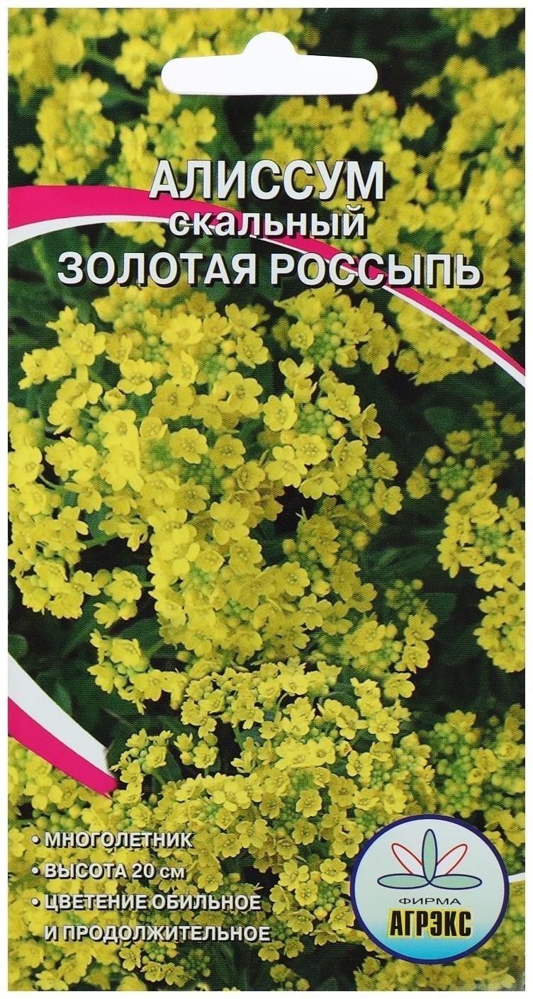 Семена цветов Алисум 