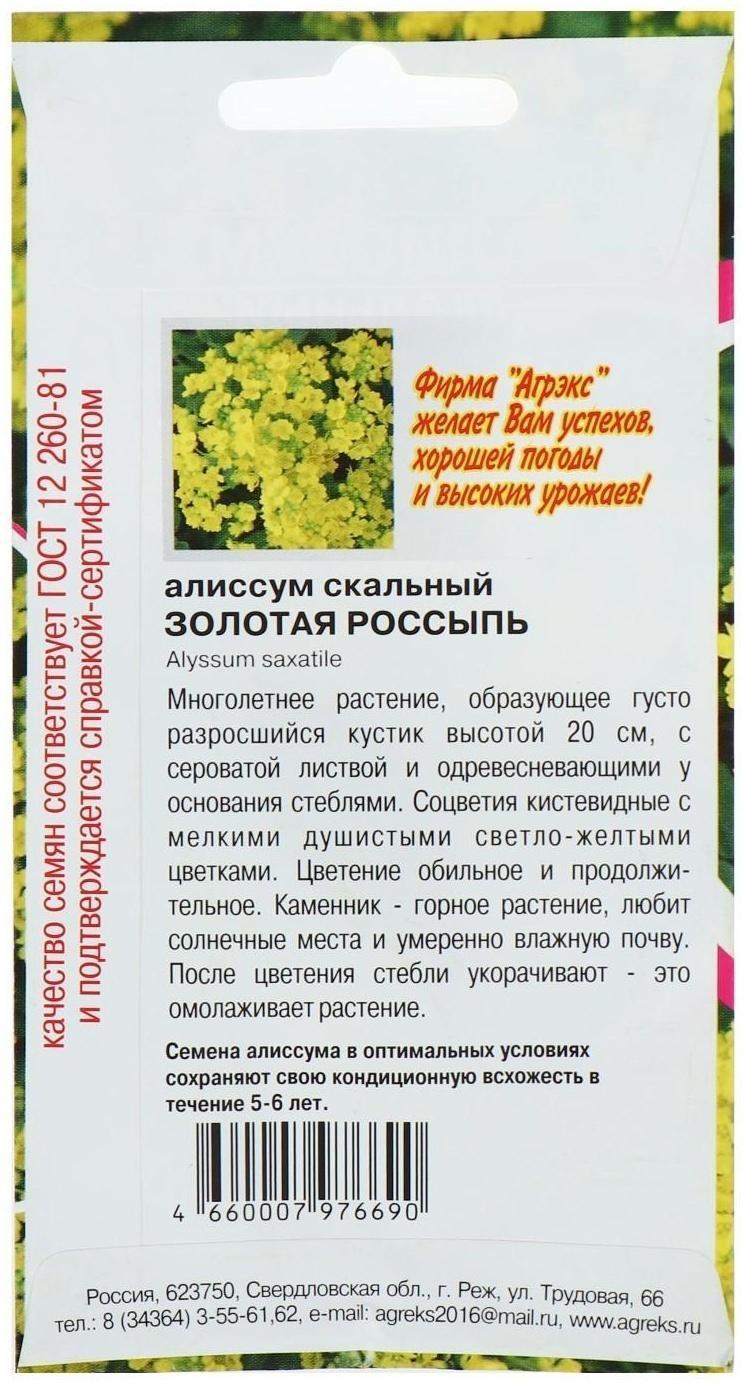 Семена цветов Алисум 