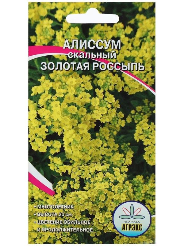 Семена цветов Алисум 