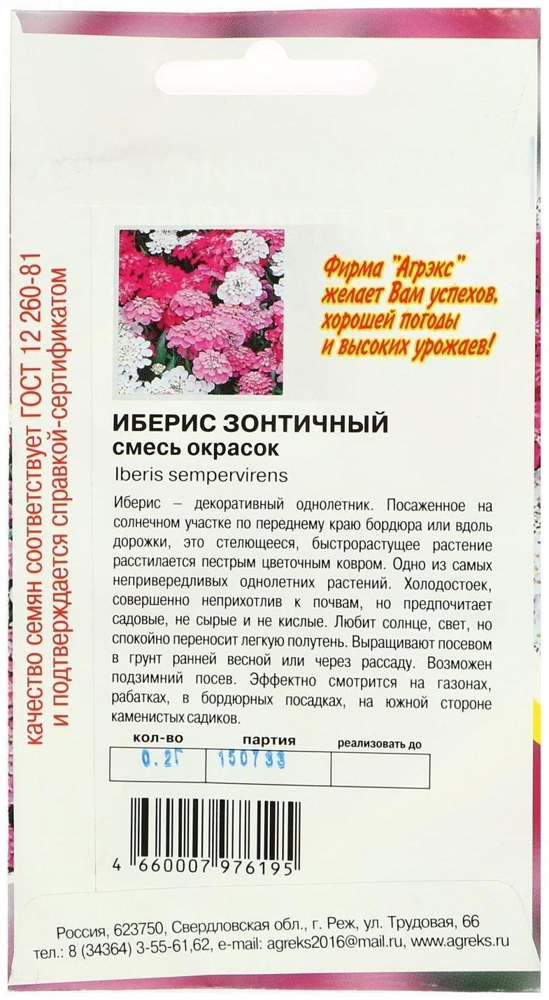 Семена цветов Иберис Зонтичный, 