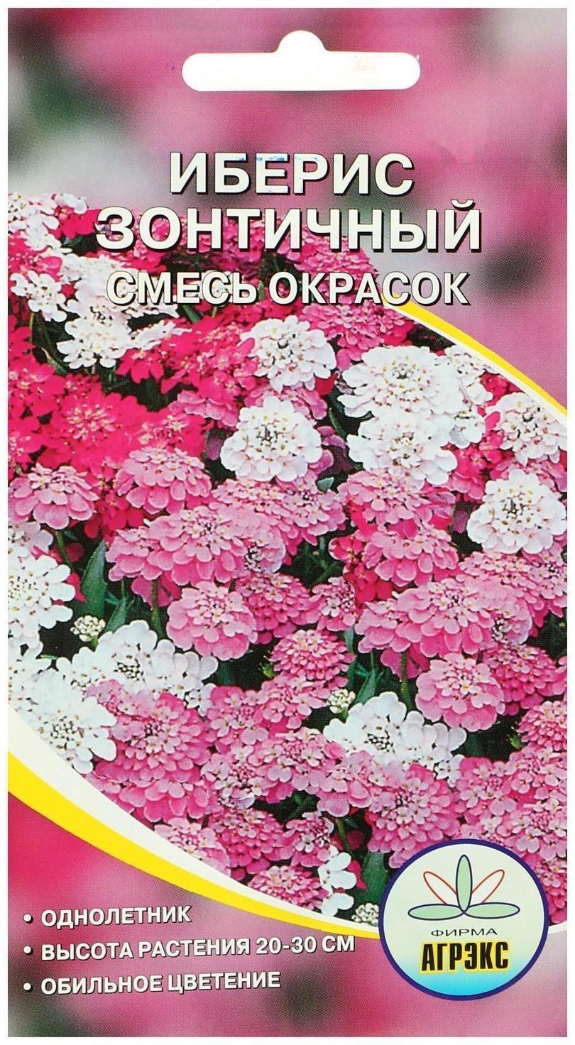 Семена цветов Иберис Зонтичный, 