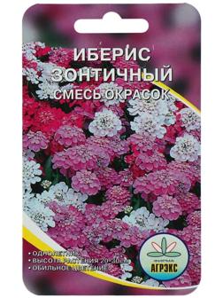 Семена цветов Иберис Зонтичный, 