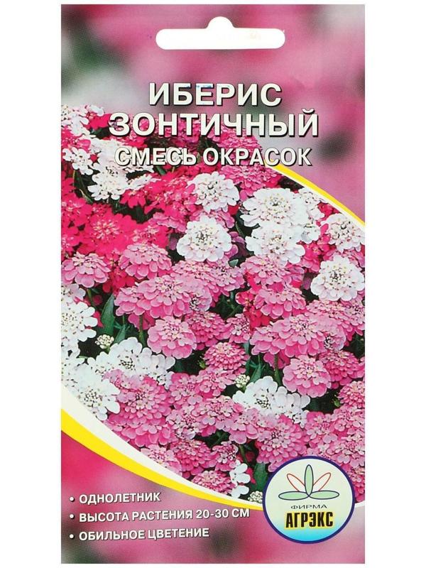 Семена цветов Иберис Зонтичный, 