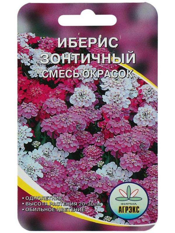 Семена цветов Иберис Зонтичный, 