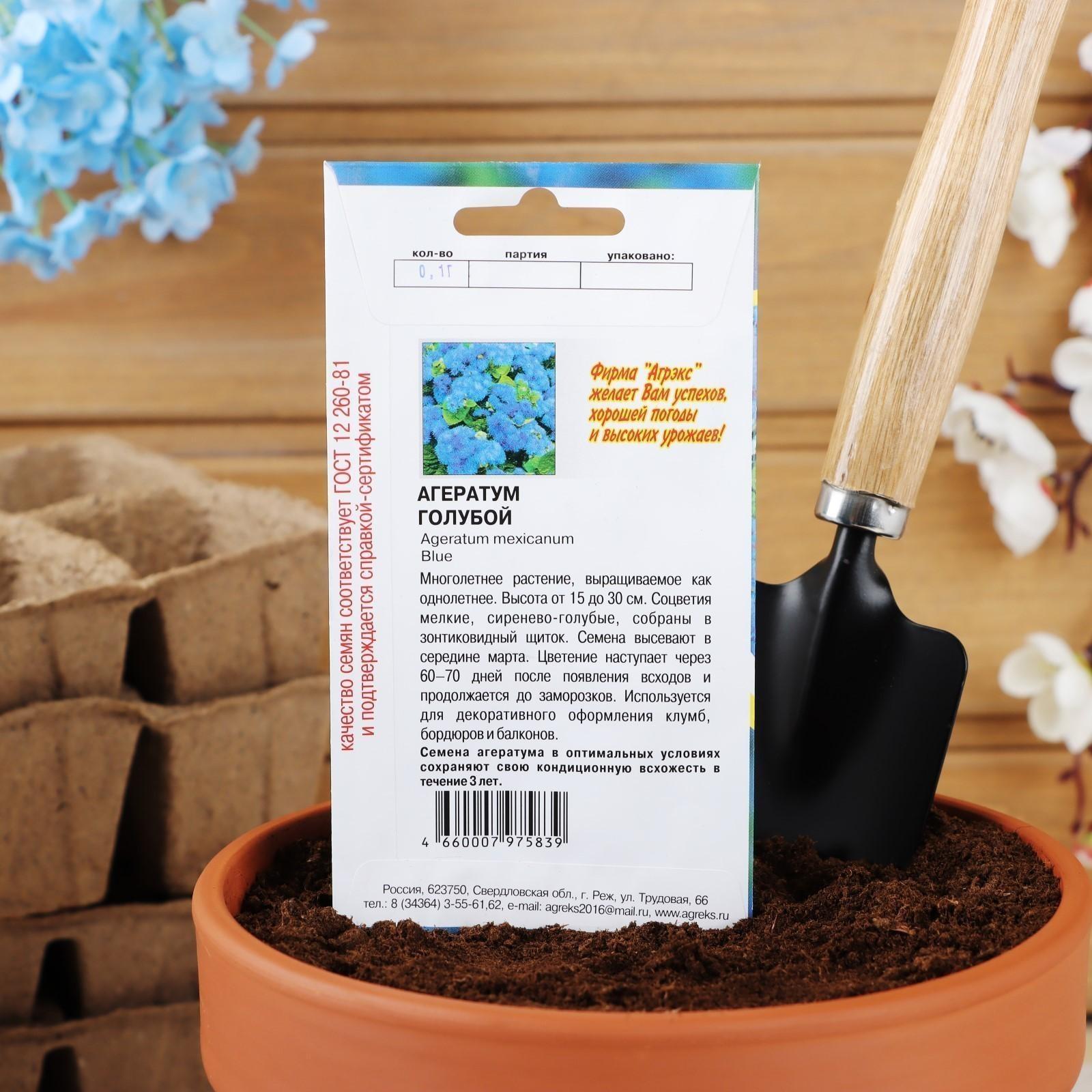 Семена цветов Агератум голубой, О, 1 г