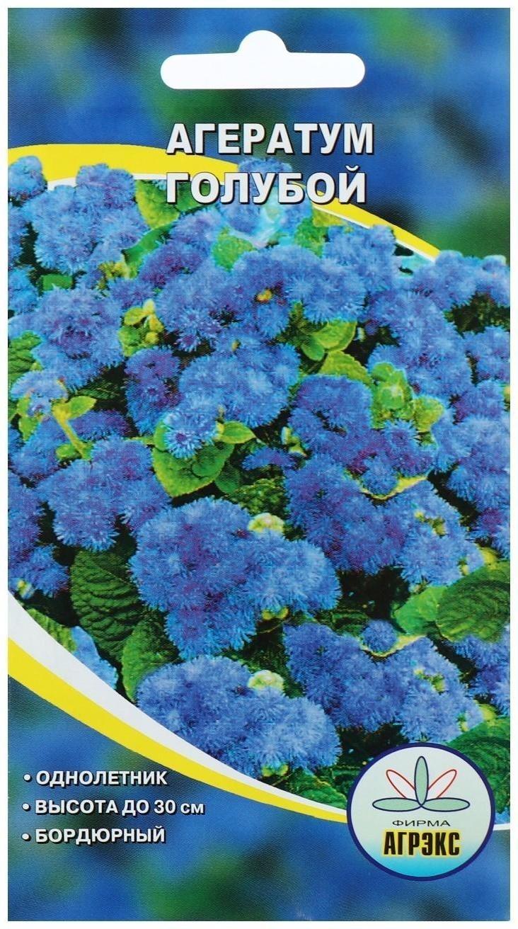 Семена цветов Агератум голубой, О, 1 г
