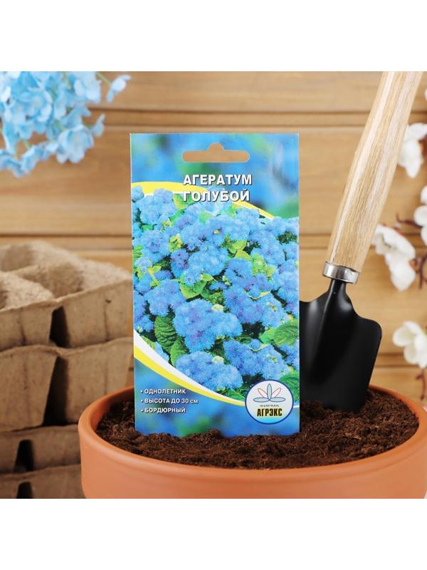 Семена цветов Агератум голубой, О, 1 г