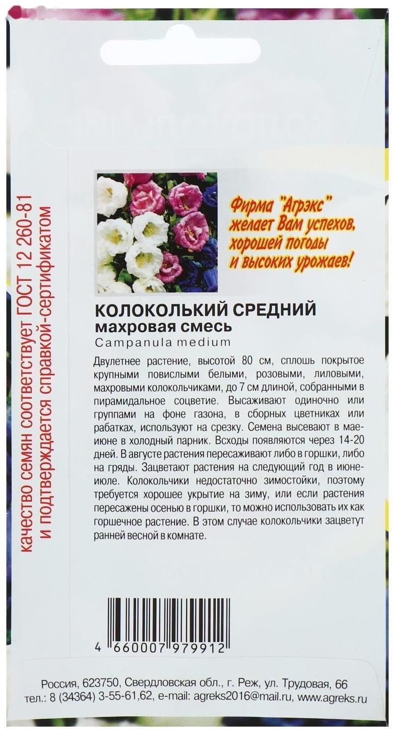 Семена цветов Колокольчик 