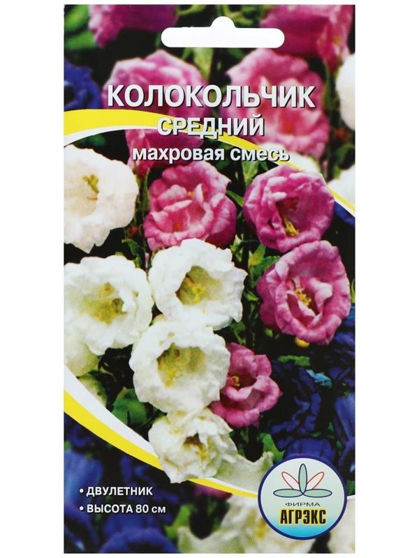 Семена цветов Колокольчик 