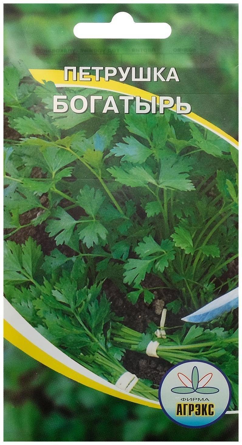 Семена Петрушка 