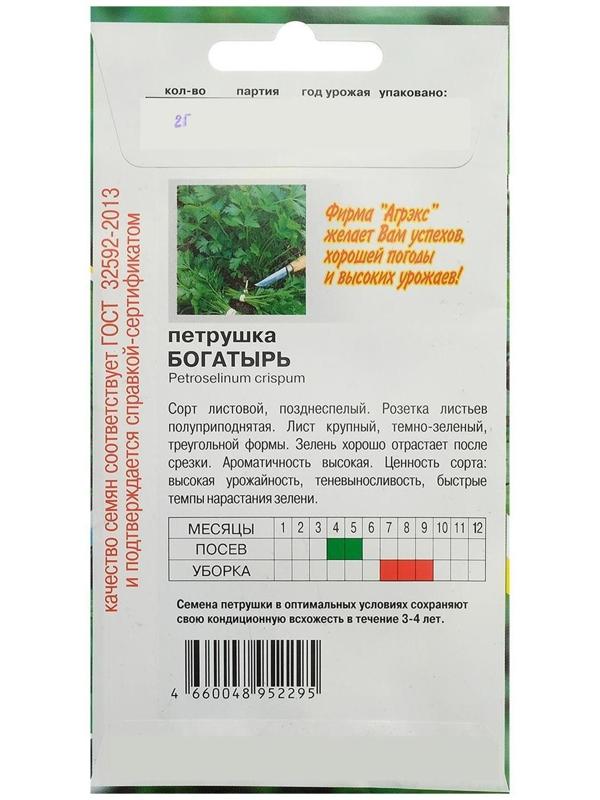 Семена Петрушка 