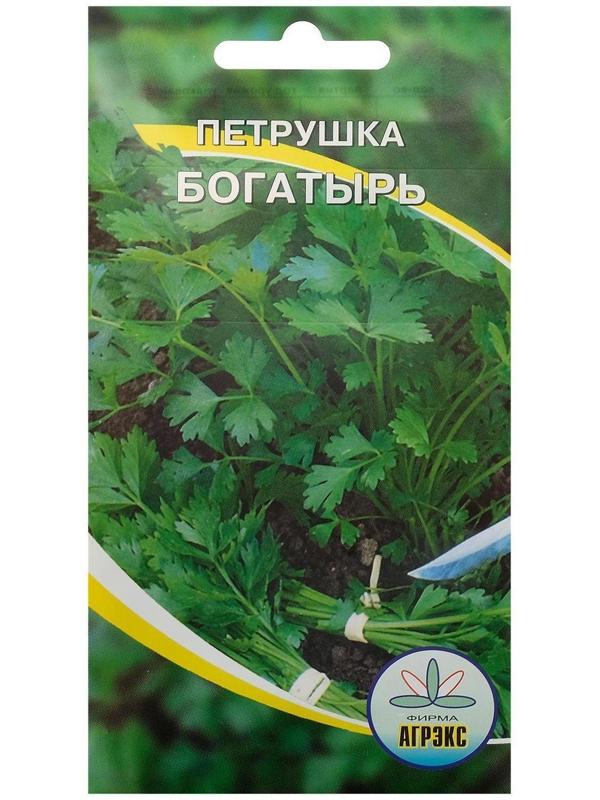 Семена Петрушка 