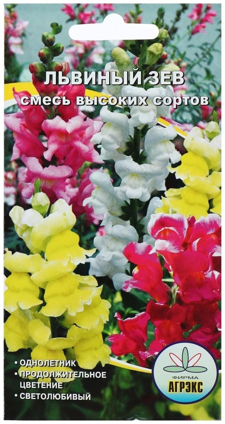 Семена цветов Львиный зев смесь высоких сортов, О, 0,1 г