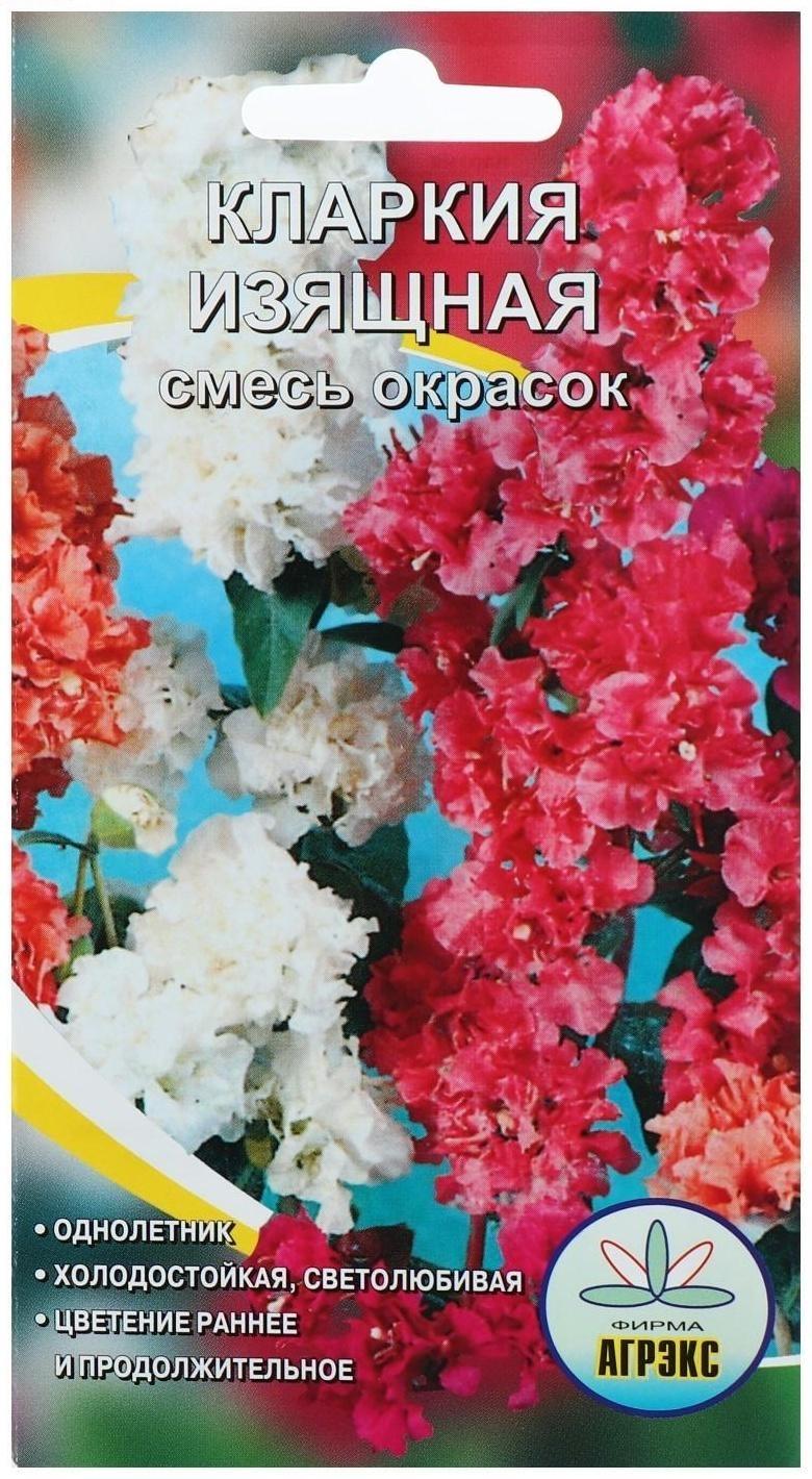 Семена цветов Кларкия изящная смесь окрасок, О, 0,2 г