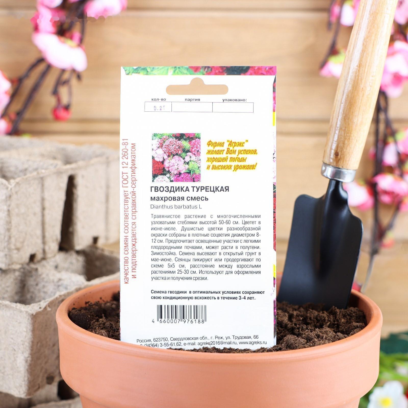 Семена цветов Гвоздика 