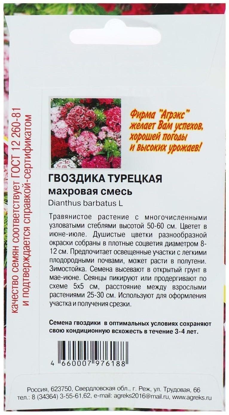 Семена цветов Гвоздика 