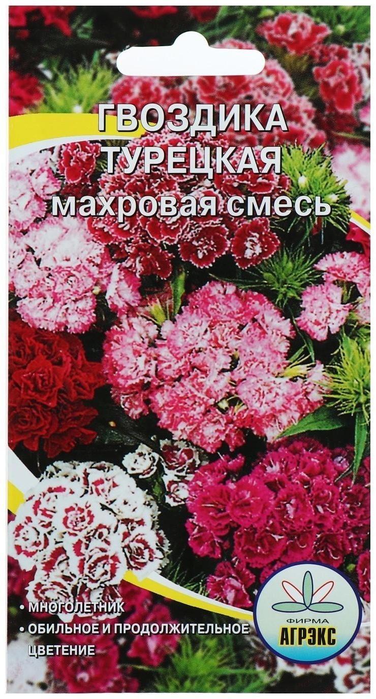 Семена цветов Гвоздика 