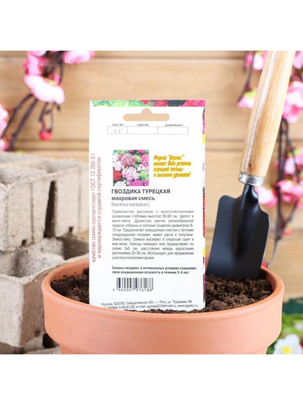 Семена цветов Гвоздика 