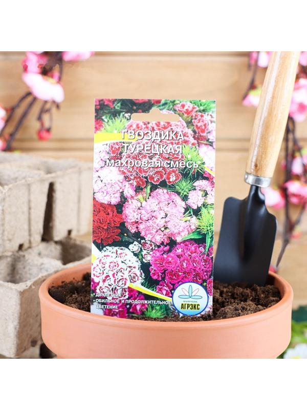 Семена цветов Гвоздика 