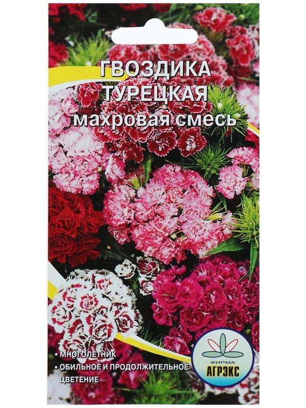 Семена цветов Гвоздика 