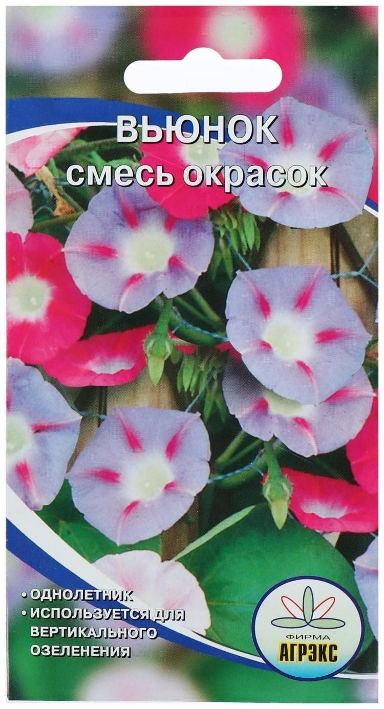 Семена цветов Вьюнок смесь, О, 10 шт