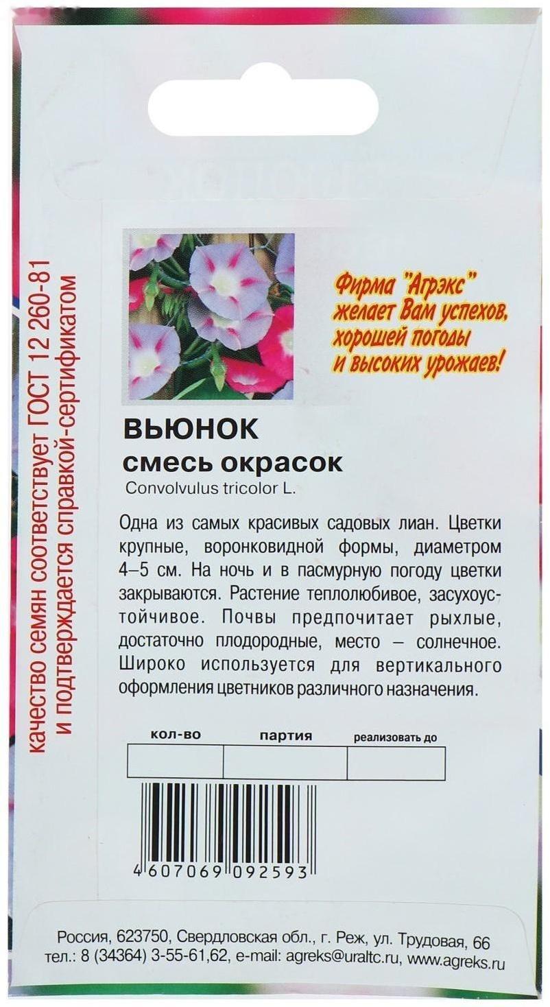 Семена цветов Вьюнок смесь, О, 10 шт