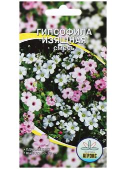 Семена цветов Гипсофила 