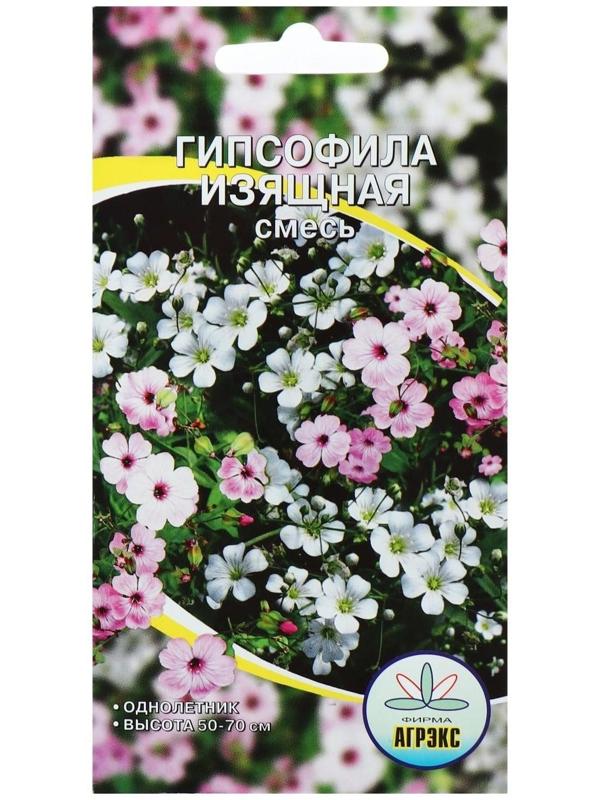 Семена цветов Гипсофила 