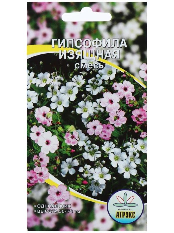 Семена цветов Гипсофила 