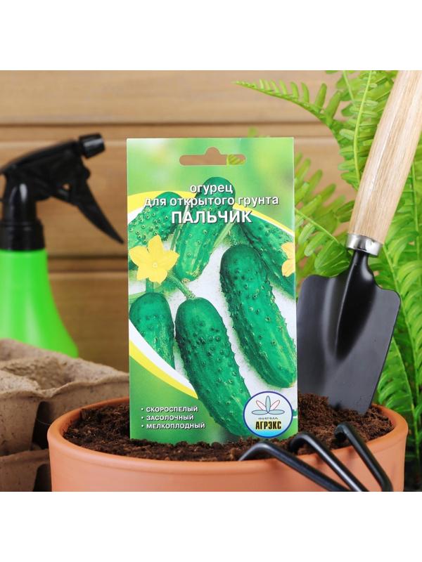 Семена Огурец 