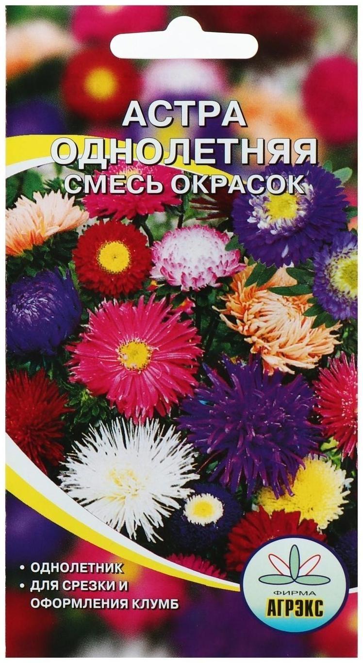 Семена цветов Астра  однолетняя смесь окрасок, 0,2 г