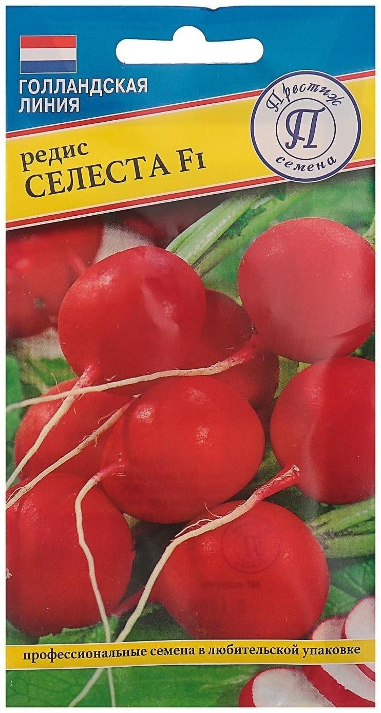 Семена Редис 