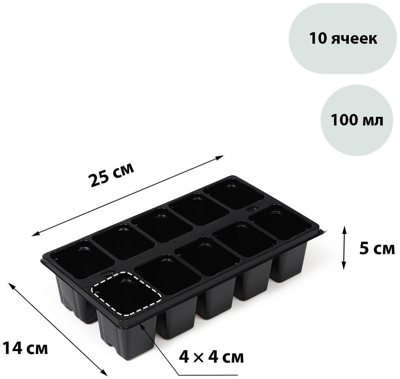 Кассета для рассады, 10 ячеек по 100 мл, чёрная, Greengo