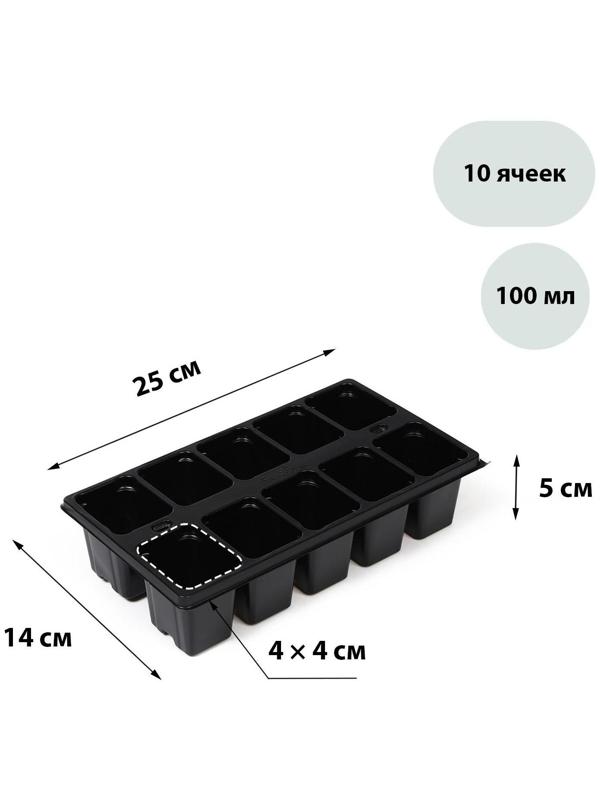 Кассета для рассады, 10 ячеек по 100 мл, чёрная, Greengo