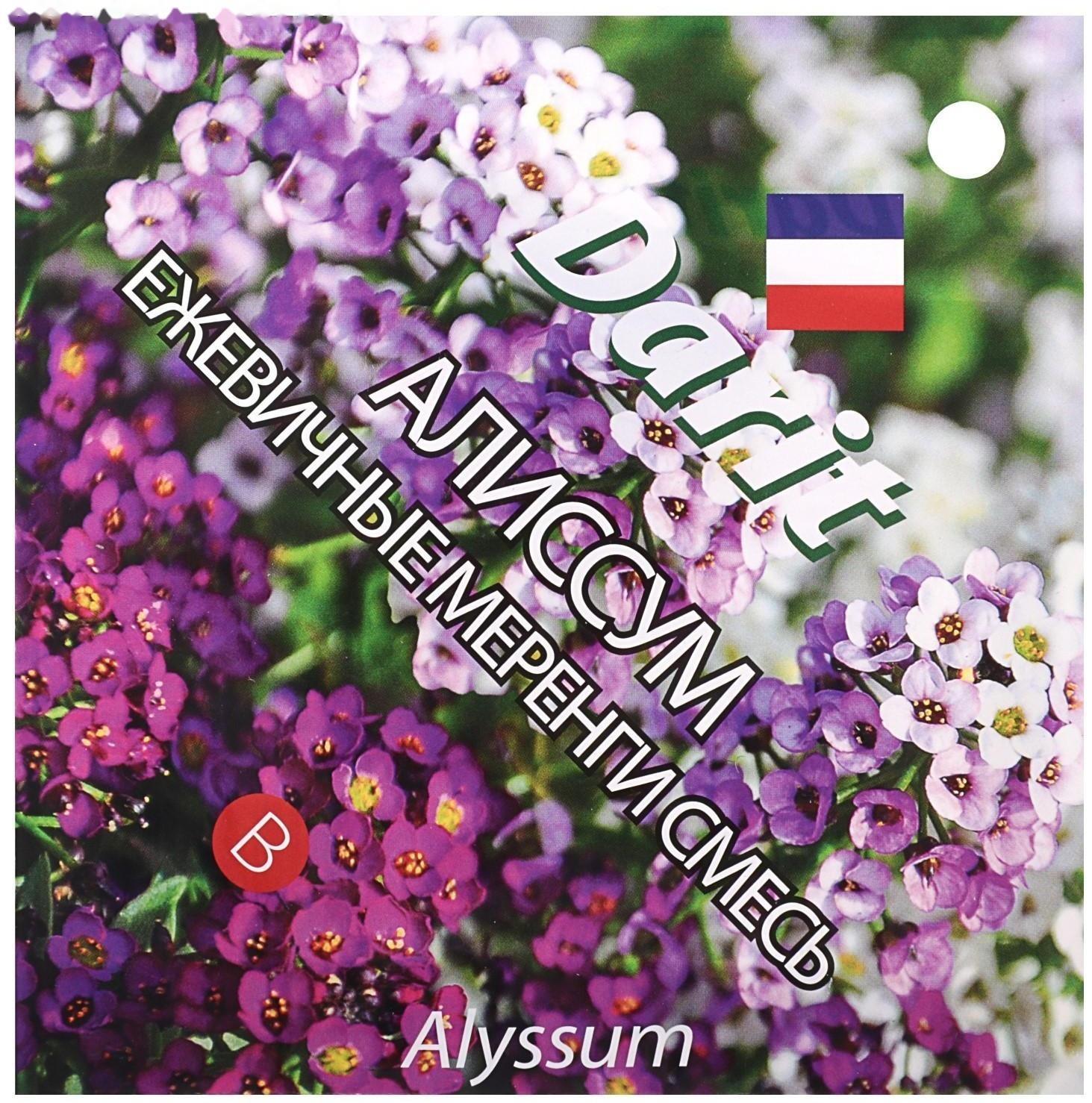 Семена цветов Алиссум 