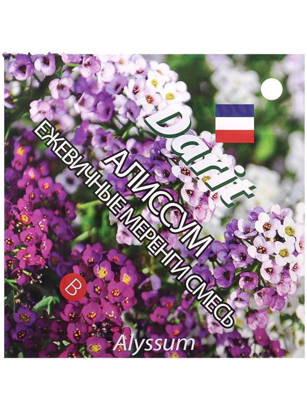 Семена цветов Алиссум 