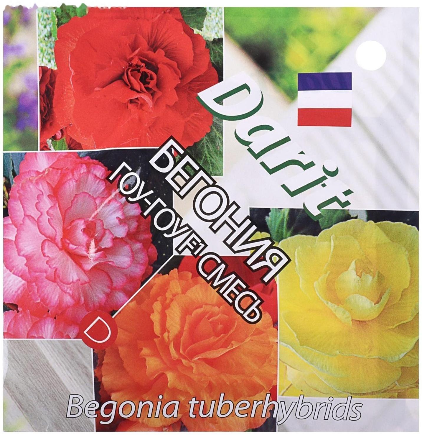 Семена цветов Бегония 