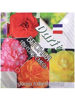 Семена цветов Бегония 